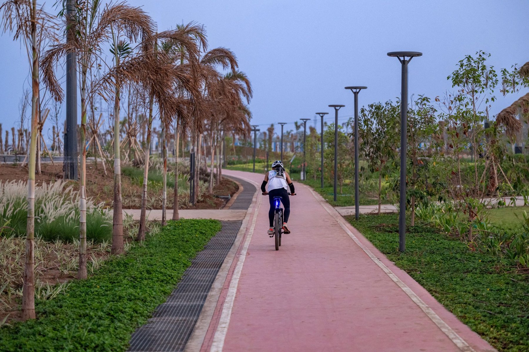 Landscape Edge